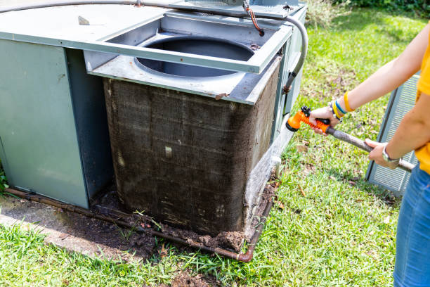 Best Air Duct Mold Removal  in Beech Island, SC