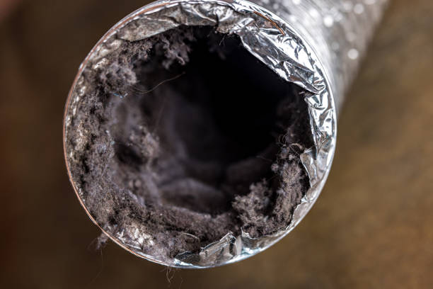 Best Best Air Duct Cleaning Company  in Beech Island, SC